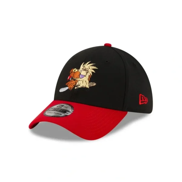 Clearance Angry Beavers 39THIRTY Stretch Fit Hat - KTGCaps - Baseball caps for various teams, purchased online at a discount