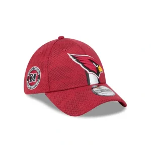 Best Arizona Cardinals 2024 Sideline 39THIRTY Stretch Fit Hat - KTGCaps - Baseball caps for various teams, purchased online at a discount