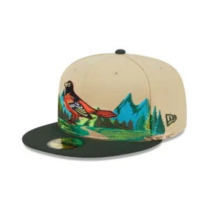 New Baltimore Orioles Team Landscape 59FIFTY Fitted Hat - KTGCaps - Baseball caps for various teams, purchased online at a discount