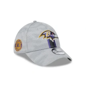 Sale Baltimore Ravens 2024 Sideline Gray 39THIRTY Stretch Fit Hat - KTGCaps - Baseball caps for various teams, purchased online at a discount