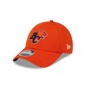 Shop BC Lions Team 9FORTY Snapback Hat - KTGCaps - Baseball caps for various teams, purchased online at a discount