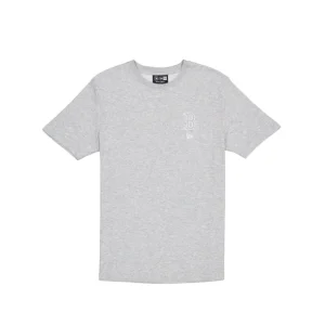 Outlet Boston Red Sox Logo Essentials Tonal Gray TShirt - KTGCaps - Baseball caps for various teams, purchased online at a discount