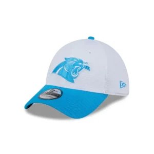 Store Carolina Panthers 2024 Training 39THIRTY Stretch Fit Hat - KTGCaps - Baseball caps for various teams, purchased online at a discount