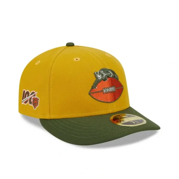 Outlet Chicago Bears Cinnamon Sage Low Profile 59FIFTY Fitted Hat - KTGCaps - Baseball caps for various teams, purchased online at a discount