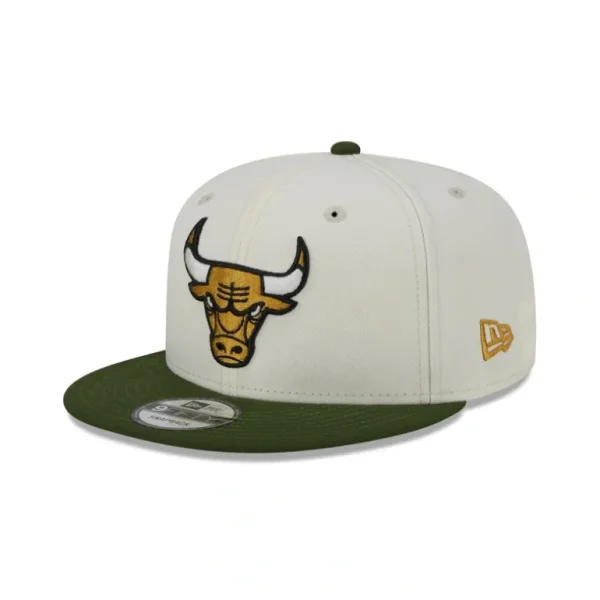 Shop Chicago Bulls Emerald 9FIFTY Snapback Hat - KTGCaps - Baseball caps for various teams, purchased online at a discount