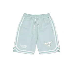 Online Chicago Bulls Minty Breeze Logo Select Shorts - KTGCaps - Baseball caps for various teams, purchased online at a discount