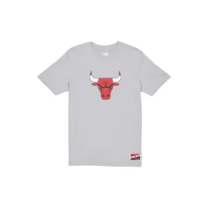 Store Chicago Bulls Throwback TShirt - KTGCaps - Baseball caps for various teams, purchased online at a discount