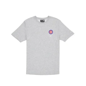 Outlet Chicago Cubs Logo Essentials Gray TShirt - KTGCaps - Baseball caps for various teams, purchased online at a discount