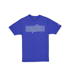 Online Detroit Lions Active TShirt - KTGCaps - Baseball caps for various teams, purchased online at a discount
