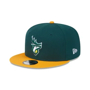 Online Edmonton Elks Team 9FIFTY Snapback Hat - KTGCaps - Baseball caps for various teams, purchased online at a discount