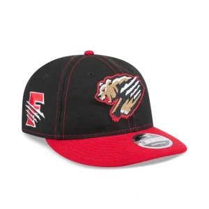 Hot Fresno Grizzlies Thunder Crown Retro Crown 9FIFTY Snapback Hat - KTGCaps - Baseball caps for various teams, purchased online at a discount