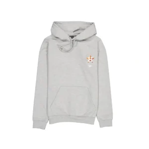 Shop Houston Astros Logo Essentials Gray Hoodie - KTGCaps - Baseball caps for various teams, purchased online at a discount
