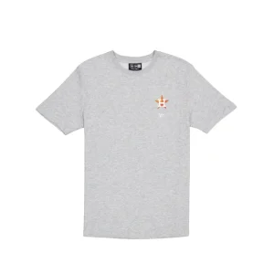 New Houston Astros Logo Essentials Gray TShirt - KTGCaps - Baseball caps for various teams, purchased online at a discount