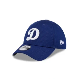Caps* Los Angeles Dodgers 2024 Batting Practice 39THIRTY Stretch Fit Hat - KTGCaps - Baseball caps for various teams, purchased online at a discount