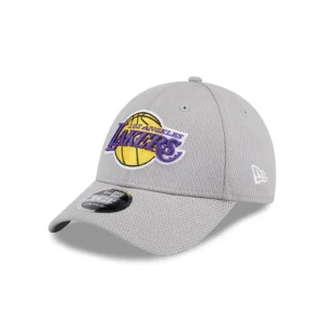 Caps* Los Angeles Lakers Gray 9FORTY StretchSnap Hat - KTGCaps - Baseball caps for various teams, purchased online at a discount