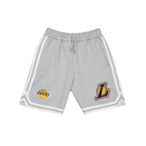Store Los Angeles Lakers Gray Logo Select Shorts - KTGCaps - Baseball caps for various teams, purchased online at a discount