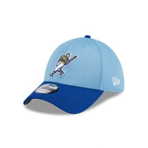 Caps* Milwaukee Brewers 2024 Batting Practice 39THIRTY Stretch Fit Hat - KTGCaps - Baseball caps for various teams, purchased online at a discount