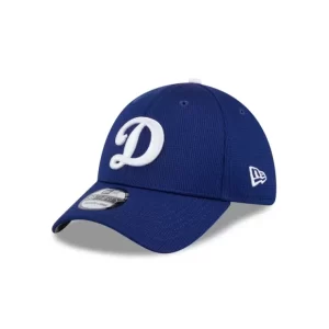Caps* Los Angeles Dodgers 2024 Batting Practice 39THIRTY Stretch Fit Hat - KTGCaps - Baseball caps for various teams, purchased online at a discount