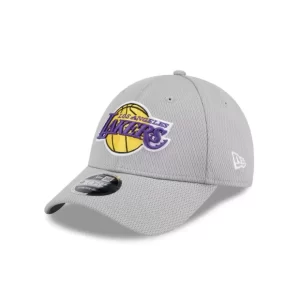 Caps* Los Angeles Lakers Gray 9FORTY StretchSnap Hat - KTGCaps - Baseball caps for various teams, purchased online at a discount